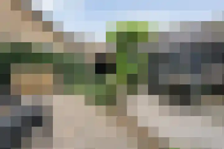 Burgemeester G W Stroinkweg 24 Zuidveen thumbnail 33