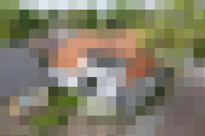 Burgemeester G W Stroinkweg 24 Zuidveen thumbnail 6