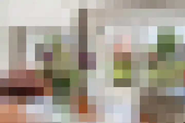 Burgemeester Galleestr 27 Vorden thumbnail 16
