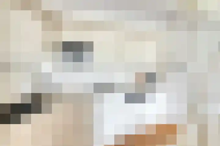 Burgemeester Galleestr 27 Vorden thumbnail 18