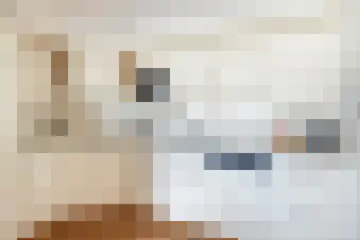 Burgemeester Galleestr 27 Vorden thumbnail 19