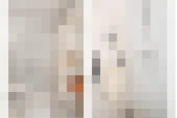 Burgemeester Galleestr 27 Vorden thumbnail 23