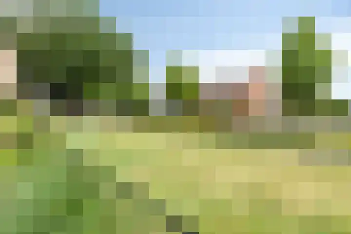 Burgemeester Galleestr 27 Vorden thumbnail 28