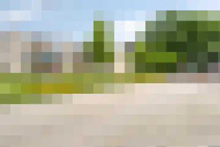 Burgemeester Galleestr 27 Vorden thumbnail 32