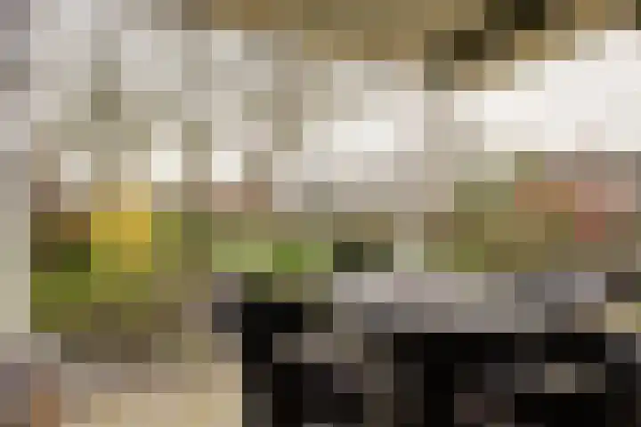 Burgemeester Galleestr 45 Vorden thumbnail 25