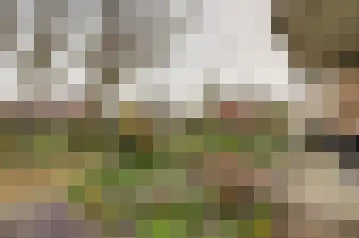 Burgemeester Galleestr 45 Vorden thumbnail 26
