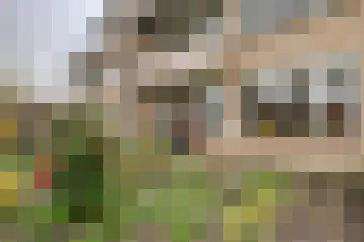 Burgemeester Galleestr 45 Vorden thumbnail 27
