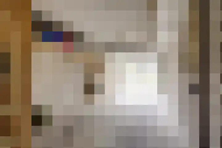 Burgemeester Galleestr 45 Vorden thumbnail 30