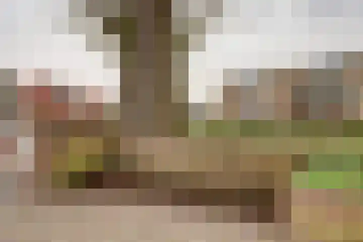 Burgemeester Galleestr 45 Vorden thumbnail 31