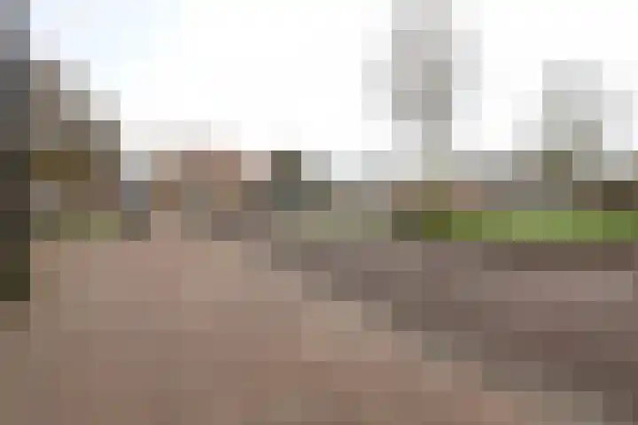 Burgemeester Galleestr 45 Vorden thumbnail 33