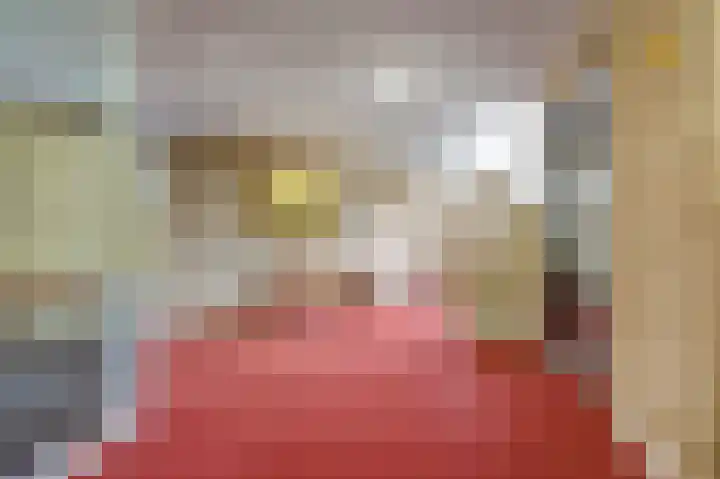 Burgemeester Galleestr 45 Vorden thumbnail 36