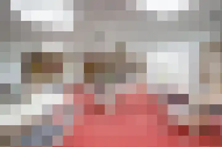 Burgemeester Galleestr 45 Vorden thumbnail 37
