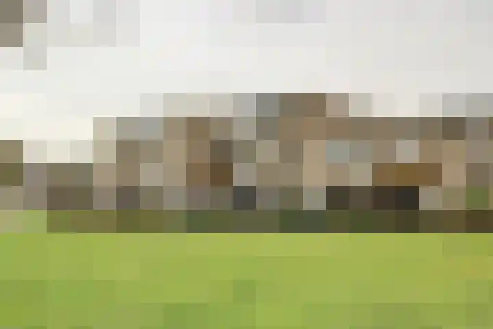 Burgemeester Galleestr 45 Vorden thumbnail 4