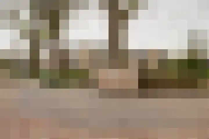Burgemeester Galleestr 45 Vorden thumbnail 5