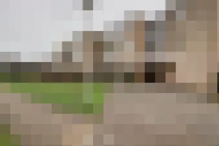 Burgemeester Galleestr 45 Vorden thumbnail 6