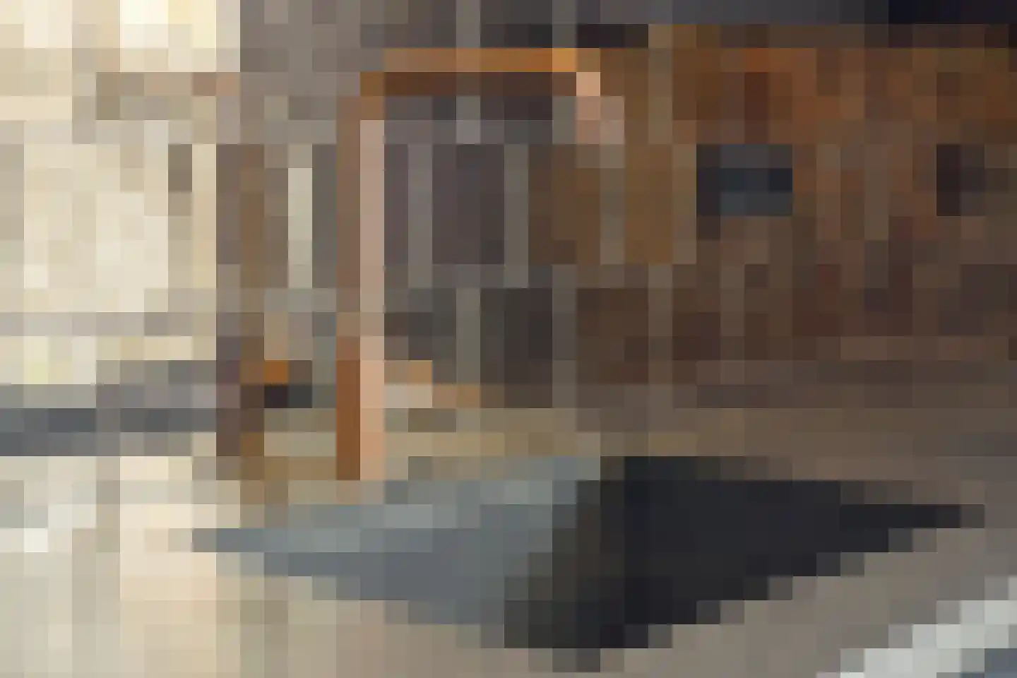 Burgemeester Galleestr 52 Vorden thumbnail 10