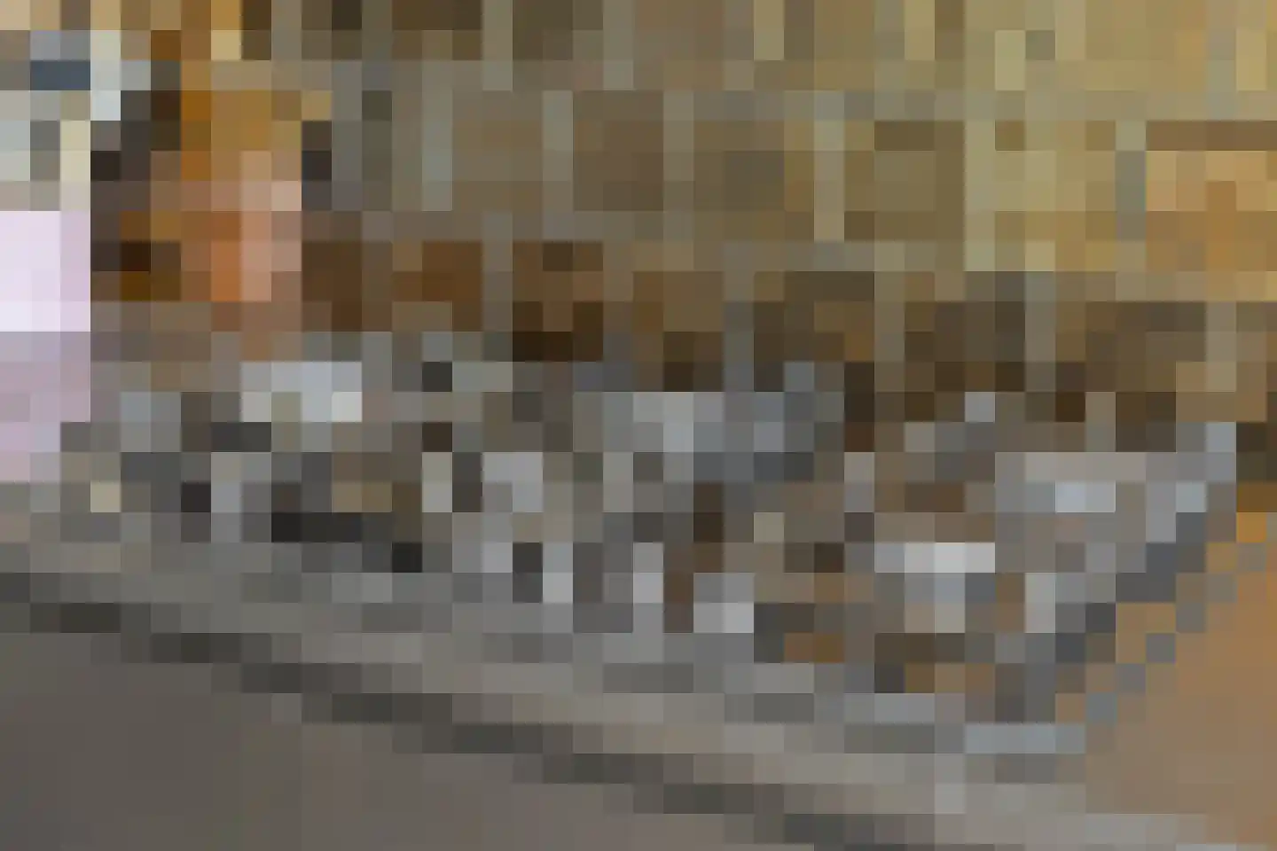 Burgemeester Galleestr 52 Vorden thumbnail 11