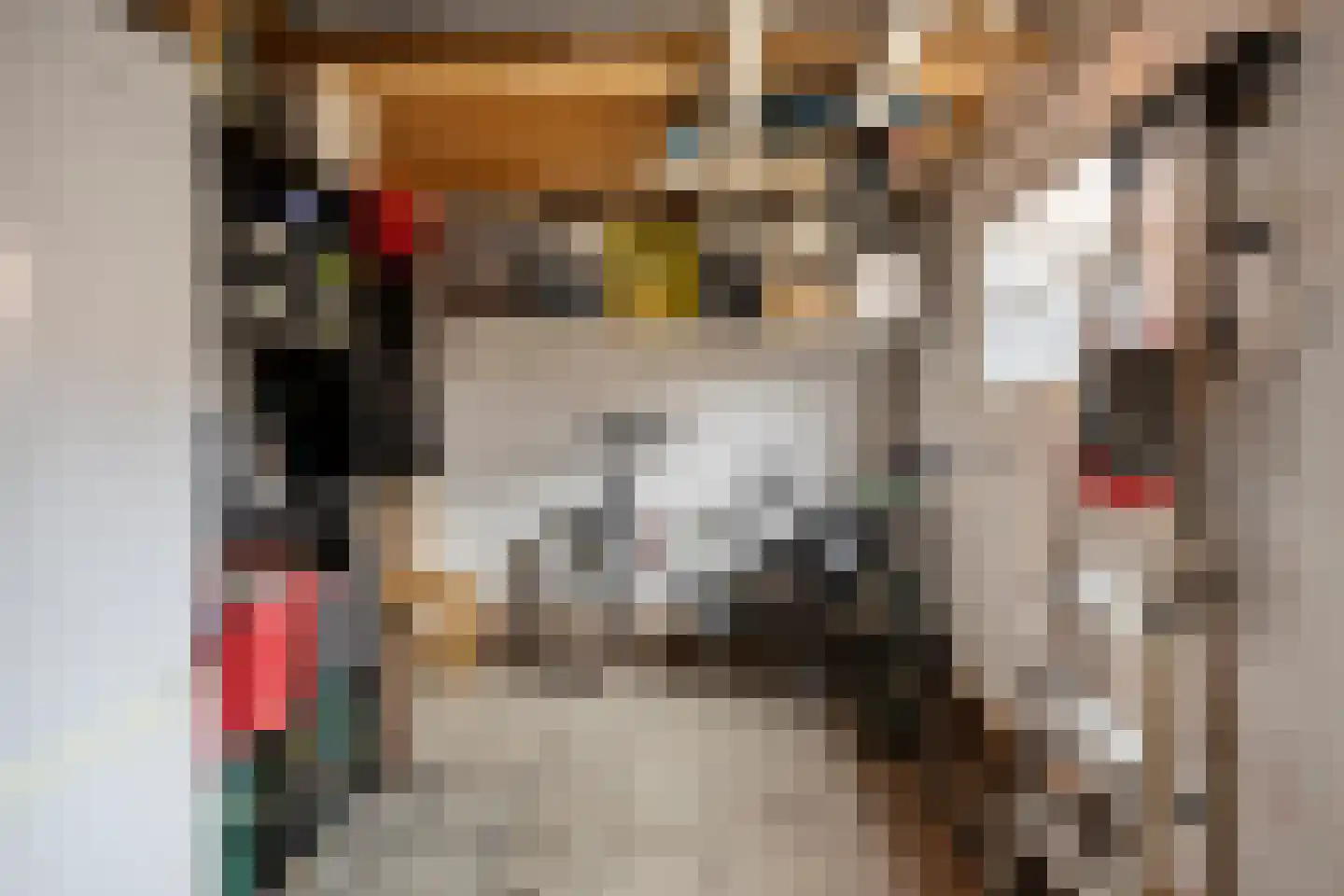 Burgemeester Galleestr 52 Vorden thumbnail 33