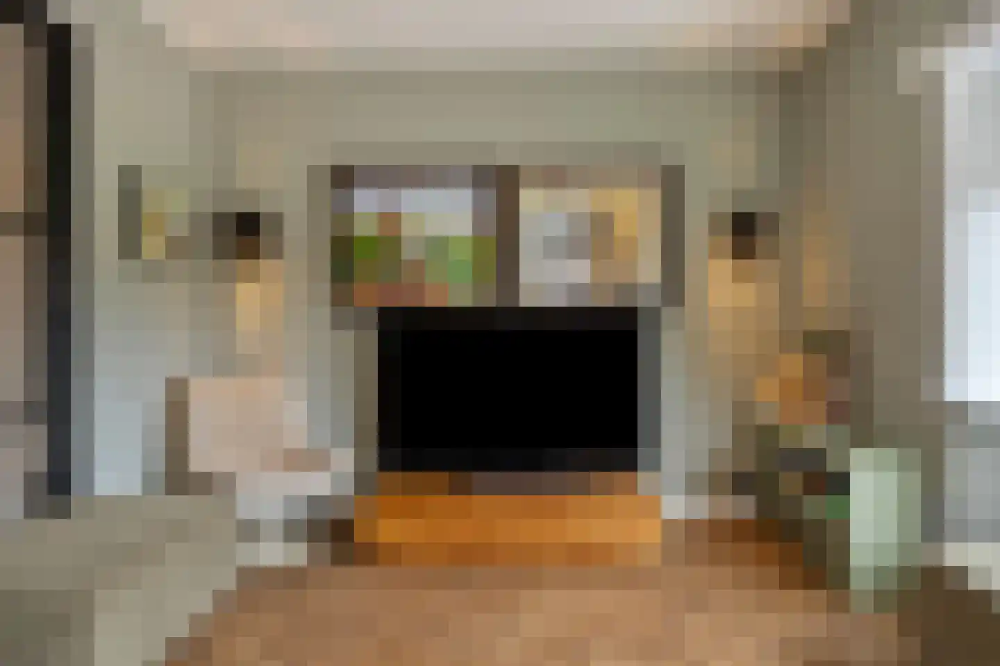 Burgemeester Galleestr 52 Vorden thumbnail 5