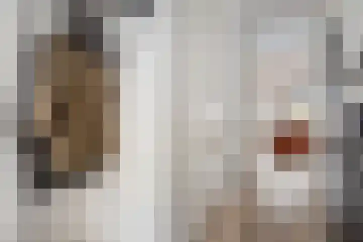 Burgemeester Galleestr 67 B Vorden thumbnail 14