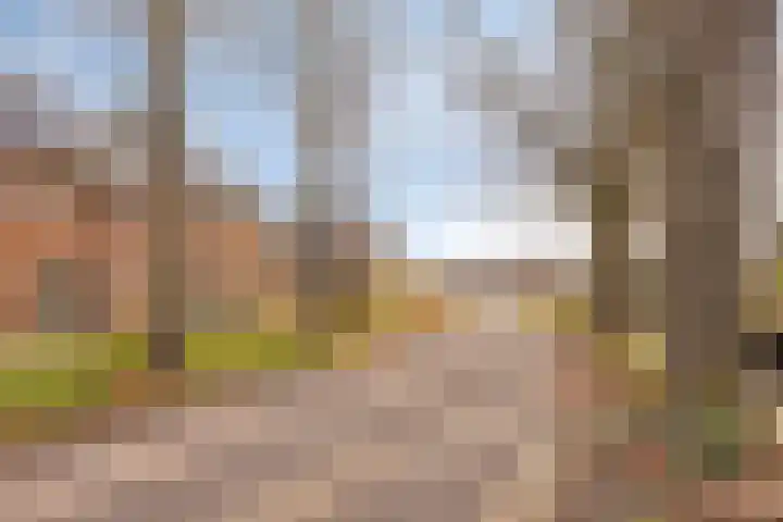 Burgemeester Galleestr 67 B Vorden thumbnail 24