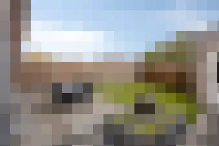 Burgemeester Galleestr 67 B Vorden thumbnail 26