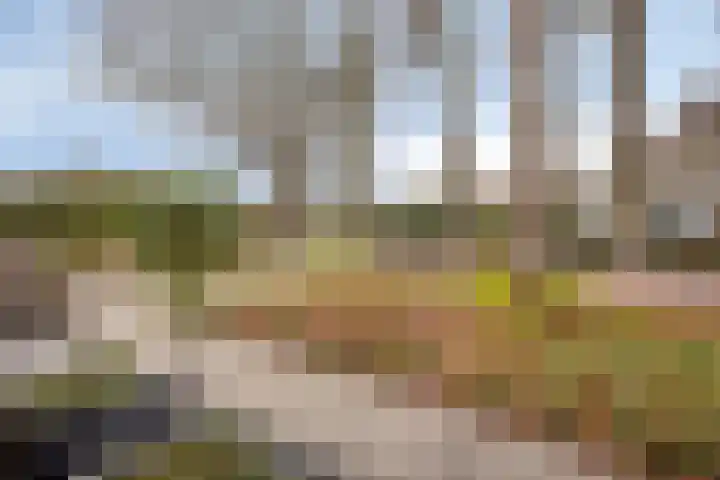 Burgemeester Galleestr 67 B Vorden thumbnail 27