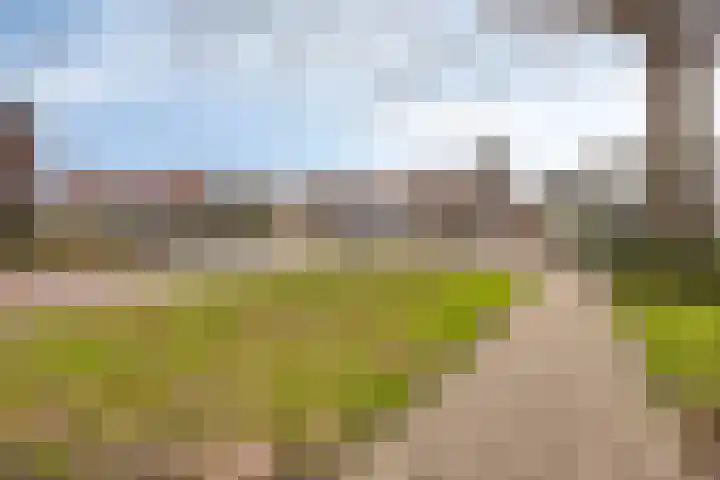 Burgemeester Galleestr 67 B Vorden thumbnail 29