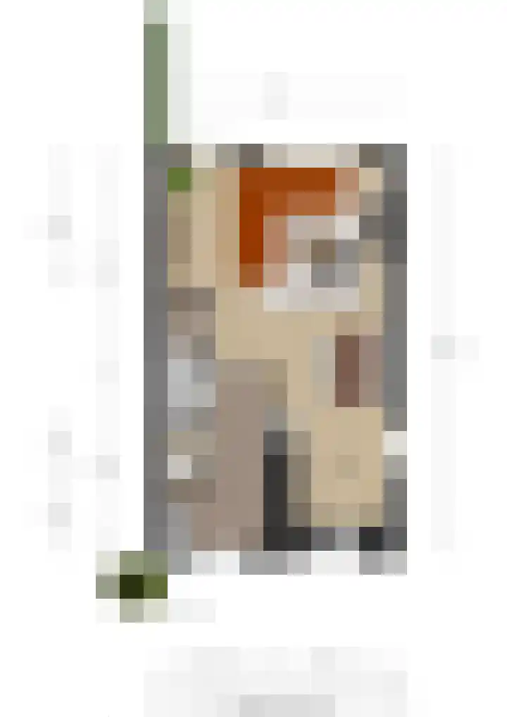 Burgemeester Galleestr 67 B Vorden thumbnail 31