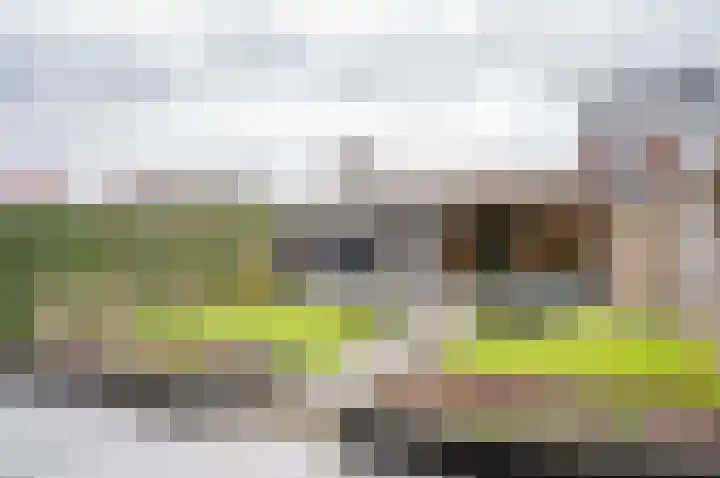 Burgemeester Galleestr 67 Vorden thumbnail 27