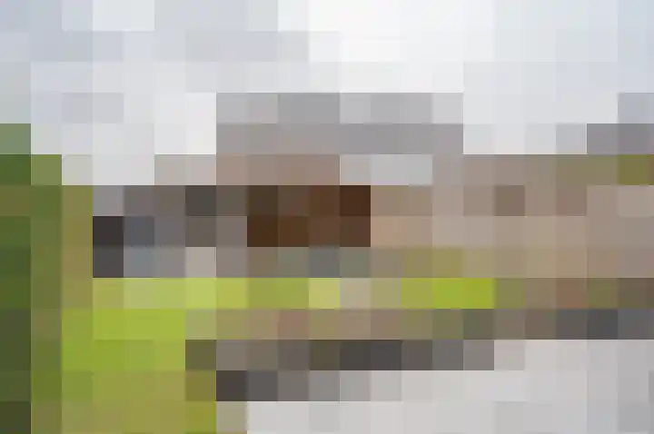 Burgemeester Galleestr 67 Vorden thumbnail 32