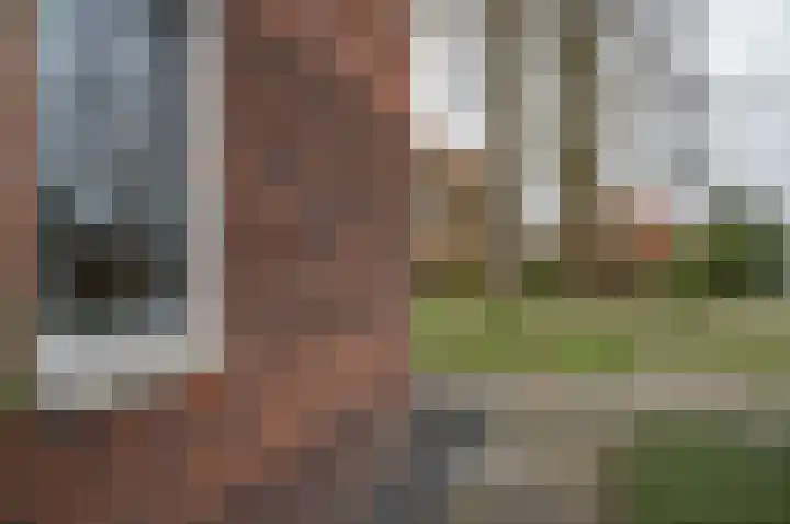 Burgemeester Galleestr 67 Vorden thumbnail 33