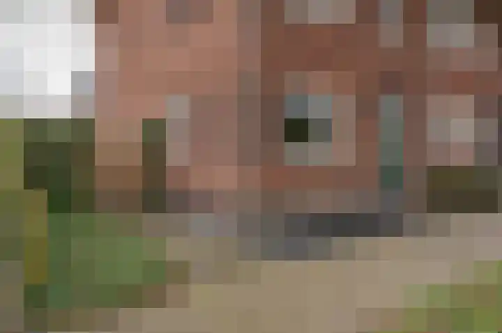 Burgemeester Galleestr 67 Vorden thumbnail 34