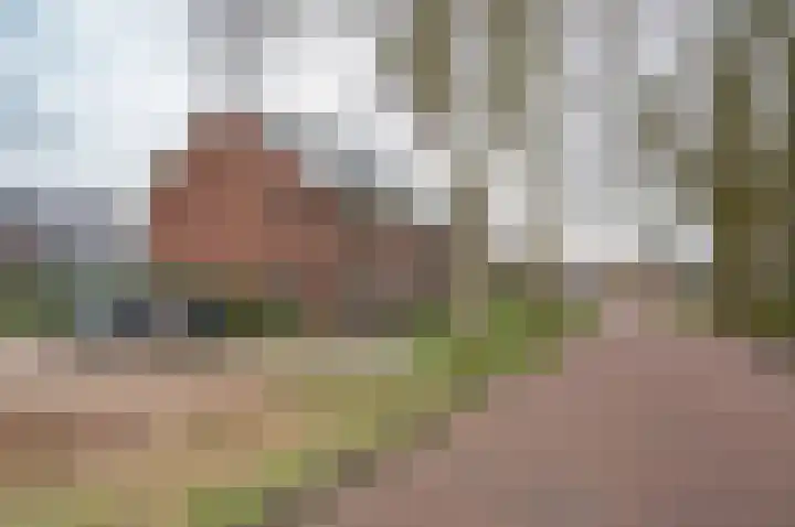Burgemeester Galleestr 67 Vorden thumbnail 35