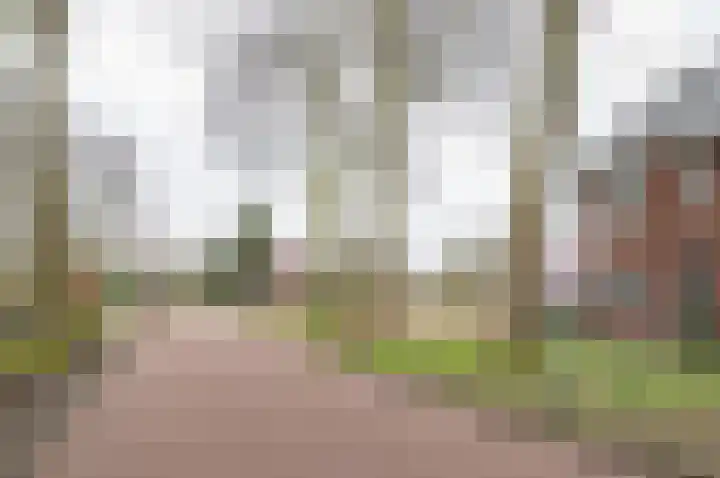 Burgemeester Galleestr 67 Vorden thumbnail 36