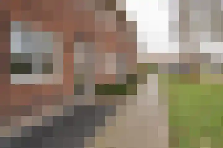 Burgemeester Galleestr 67 Vorden thumbnail 7