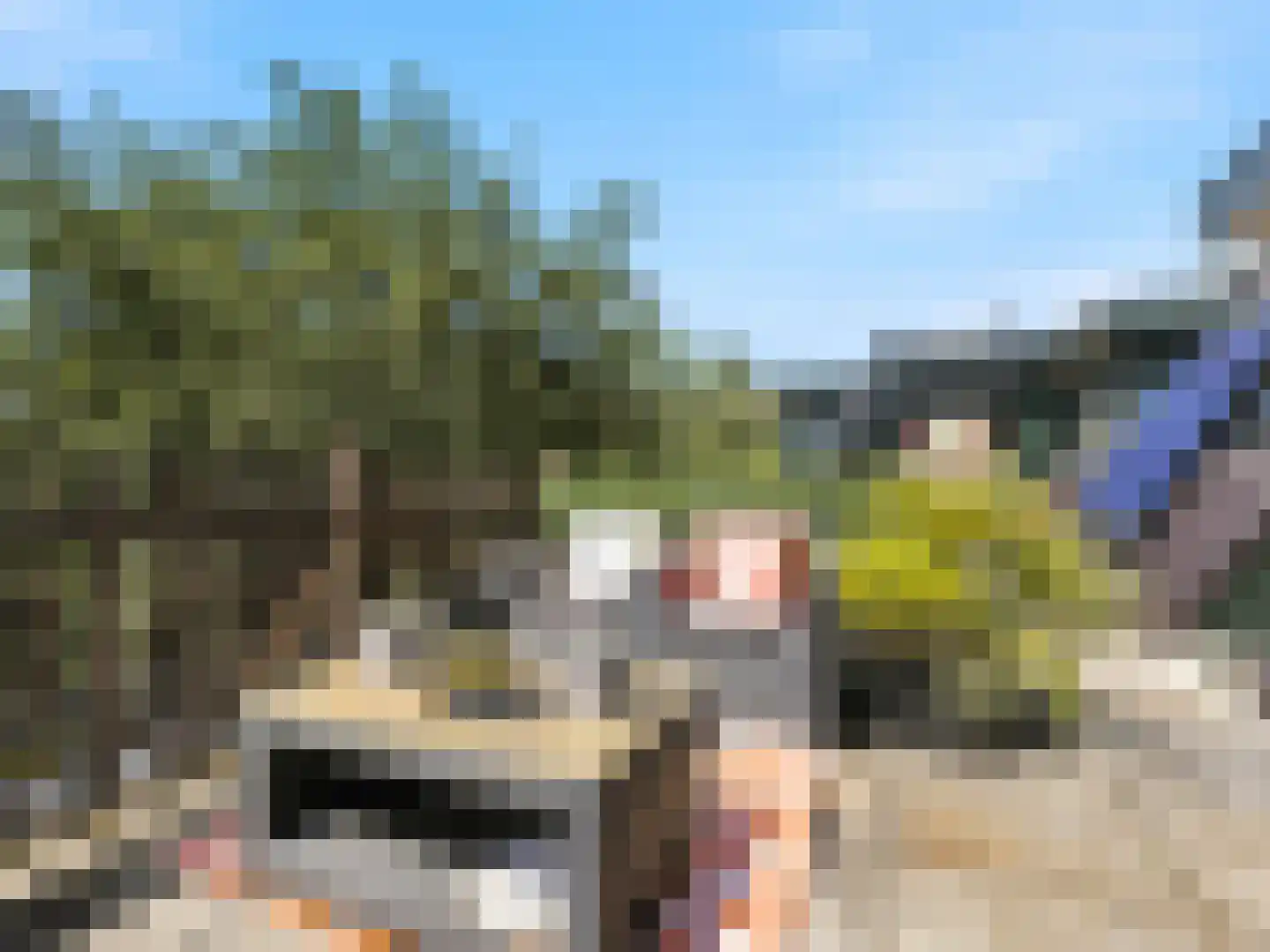 Burgemeester Galleestr 7 A Vorden thumbnail 14