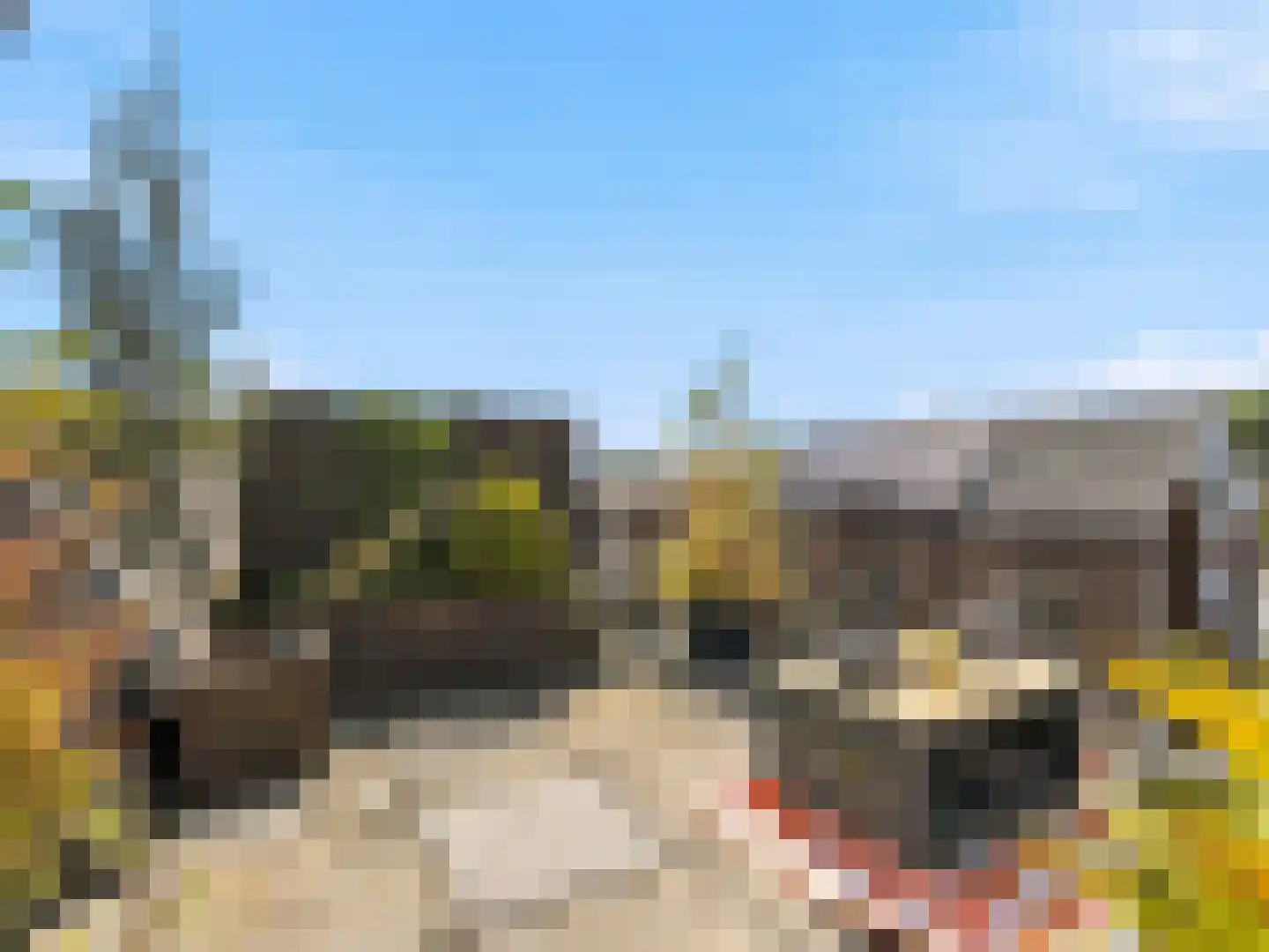 Burgemeester Galleestr 7 A Vorden thumbnail 15