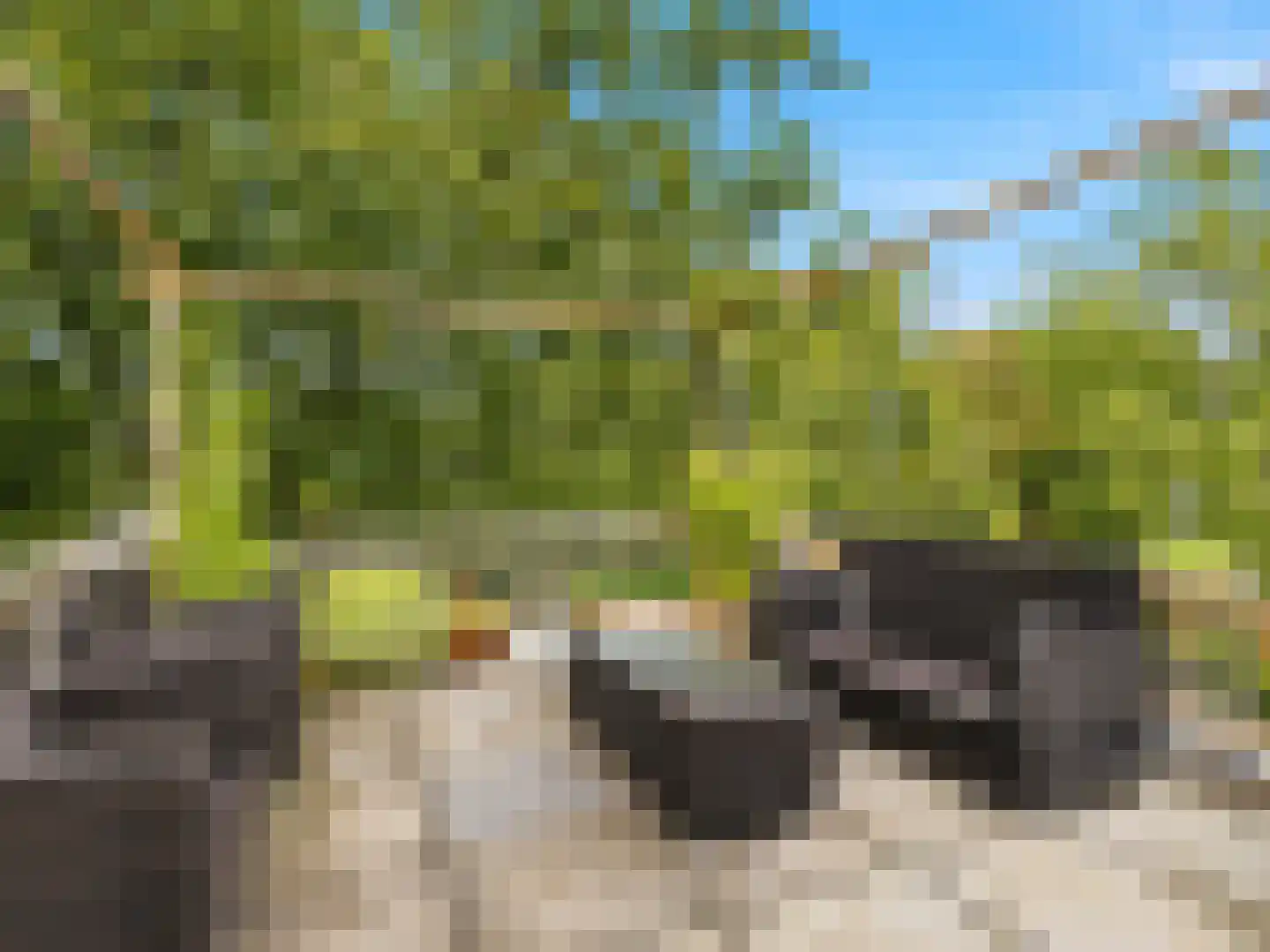 Burgemeester Galleestr 7 B Vorden thumbnail 10