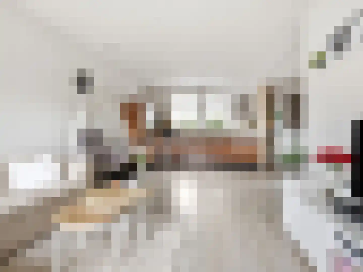 Burgemeester Galleestr 7 B Vorden thumbnail 6