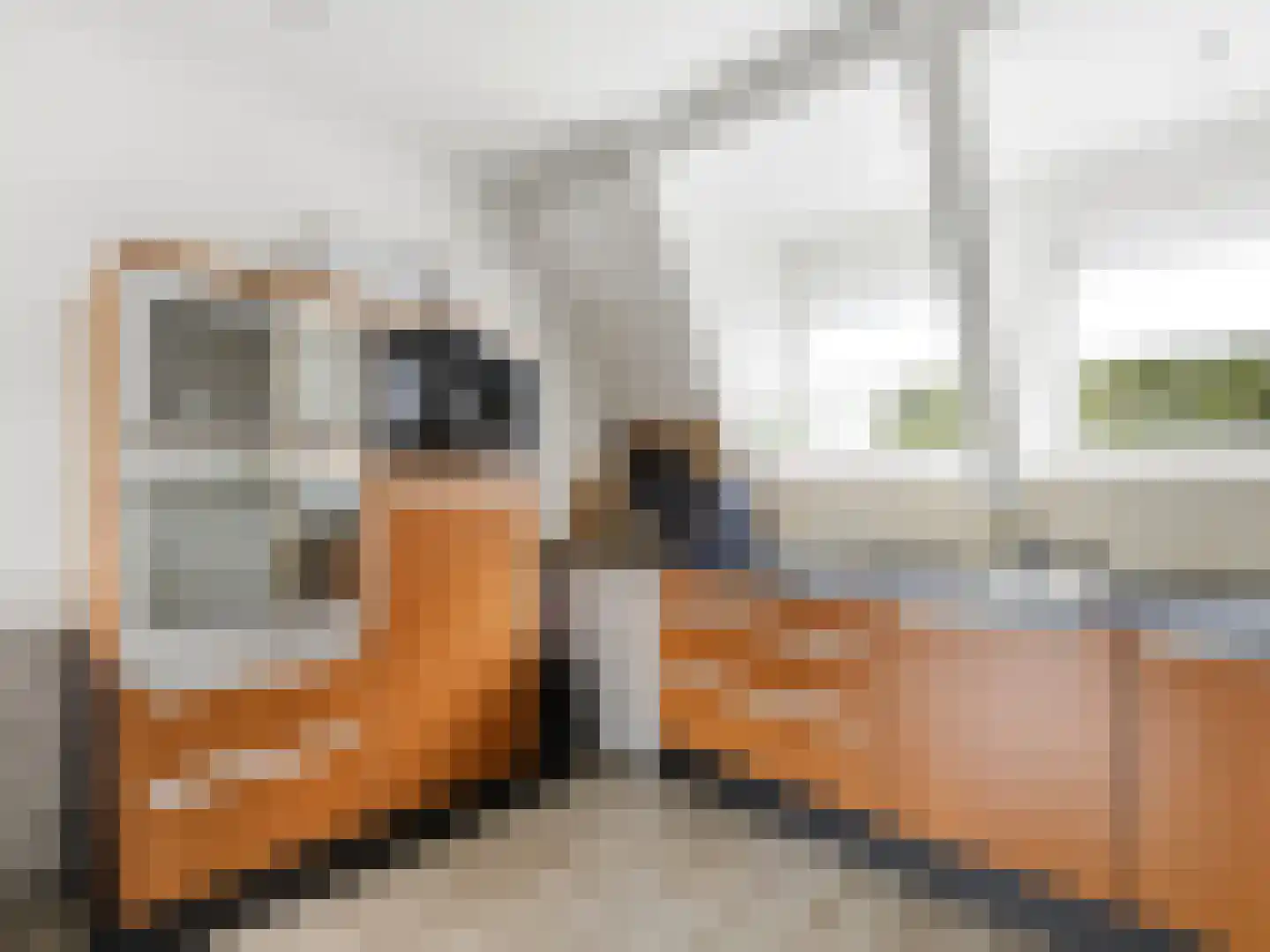 Burgemeester Galleestr 7 B Vorden thumbnail 9