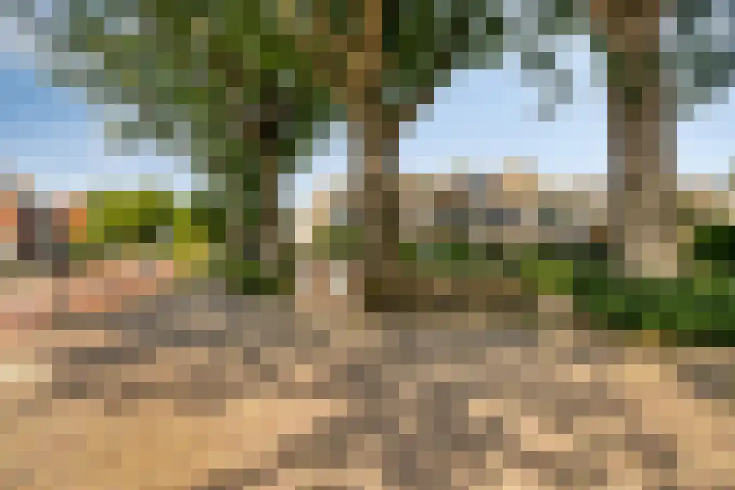 Burgemeester Galleestr 77 Vorden thumbnail 35