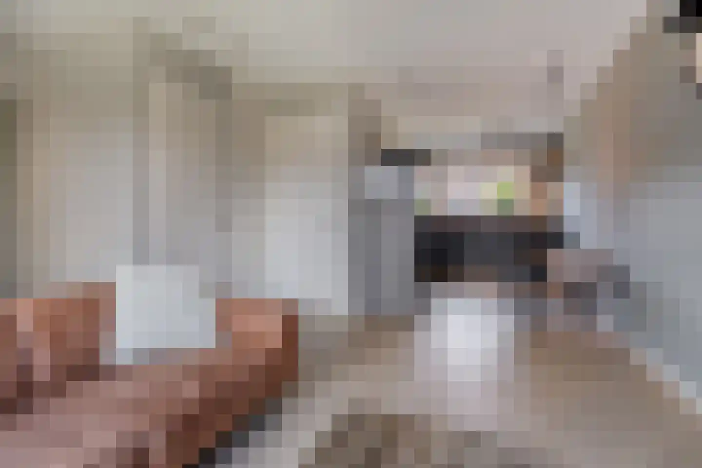 Burgemeester Galleestr 77 Vorden thumbnail 6