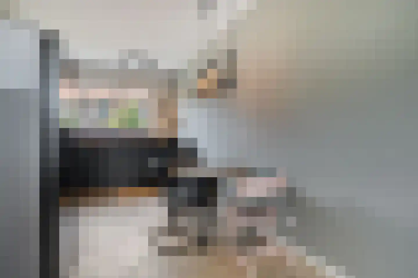 Burgemeester Galleestr 77 Vorden thumbnail 7