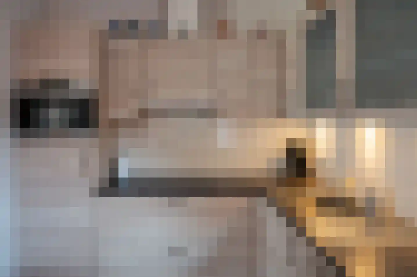 Burgemeester Galleestr 81 Vorden thumbnail 28