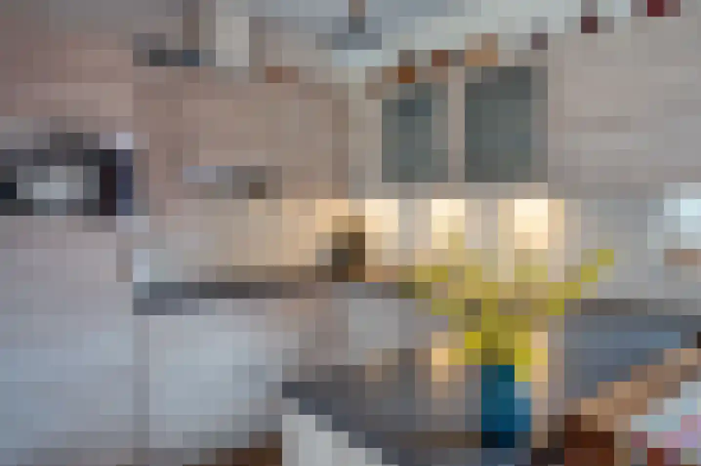 Burgemeester Galleestr 81 Vorden thumbnail 29