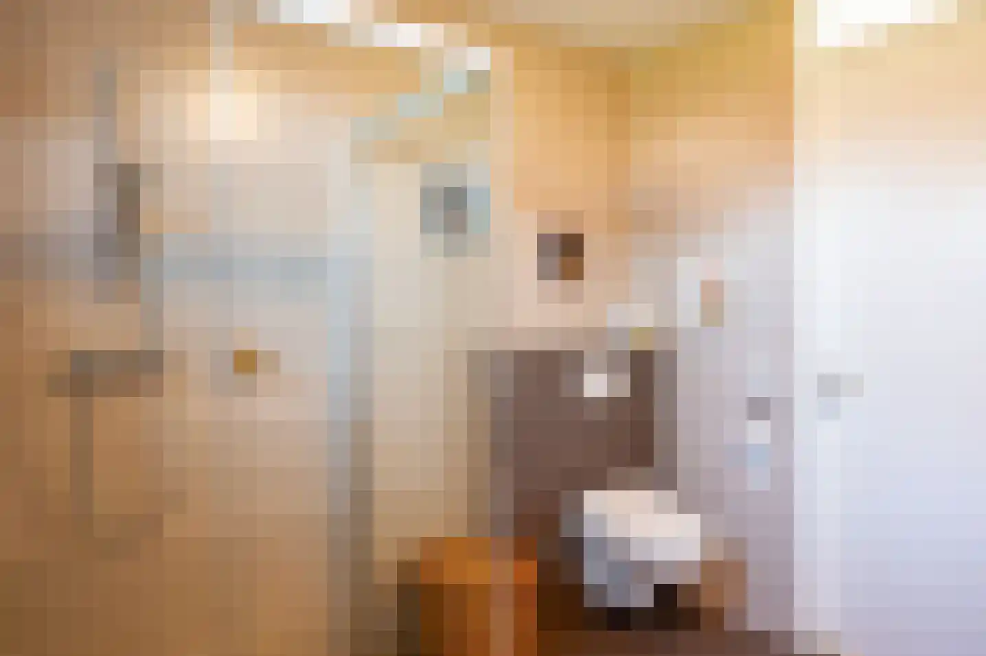 Burgemeester Galleestr 81 Vorden thumbnail 41