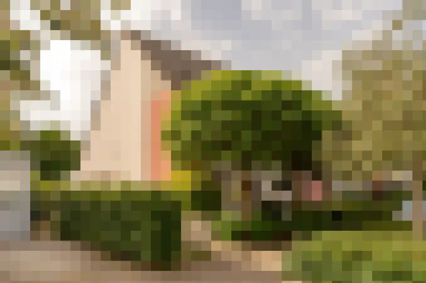 Burgemeester Geertsemalaan 18 Wassenaar thumbnail 4