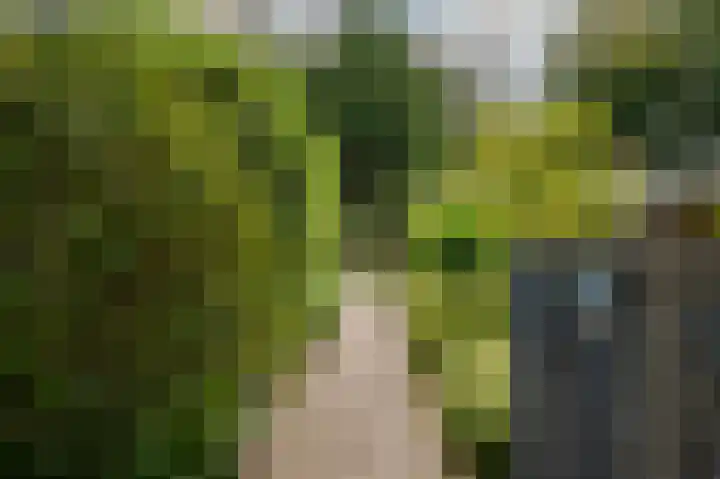 Burgemeester Geertsemalaan 4 Wassenaar thumbnail 36