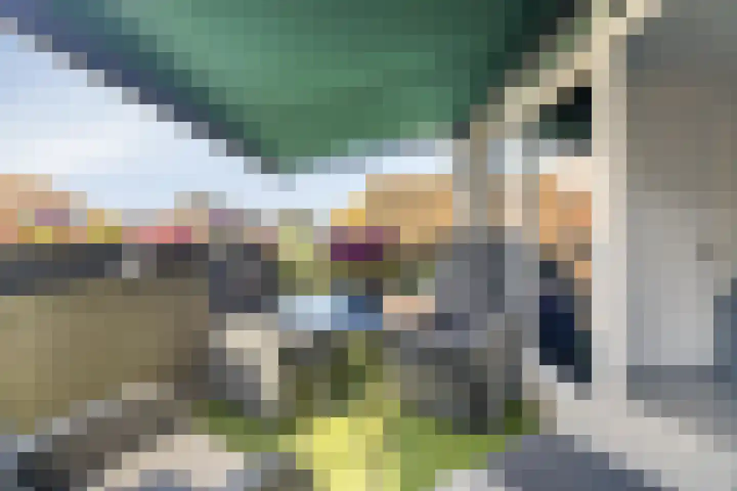 Burgemeester Geillstraat 2 Terneuzen thumbnail 35